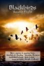Blackbirds Second Flight - Preview
