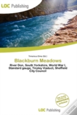 Capa do artigo Blackburn Meadows