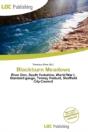 Blackburn Meadows - Preview