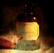 Capa do artigo Blackfield - Vinil