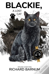 Blackie, A Lost Cat