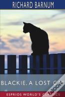Blackie, A Lost Cat