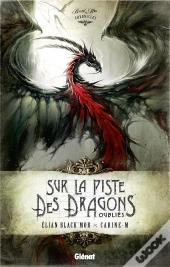 Black'Mor Chronicles - Cycle I ; Sur La Piste Des Dragons Oubliés