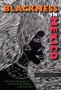 Blackness In Mexico - Preview
