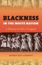 Blackness In The White Nation - Preview