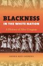 Blackness In The White Nation - Preview