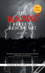 Capa do artigo Blackout Effect: Rescue Me!