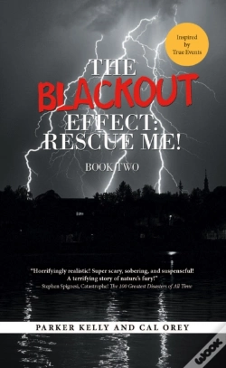 Capa do artigo Blackout Effect: Rescue Me!