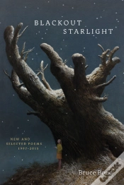 Capa do artigo Blackout Starlight