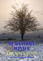 Blackthorn Winter - Preview