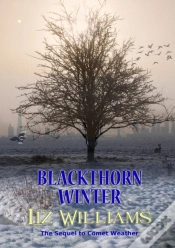 Capa do artigo Blackthorn Winter