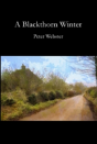 Blackthorn Winter - Preview