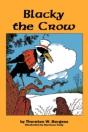 Blacky The Crow - Preview