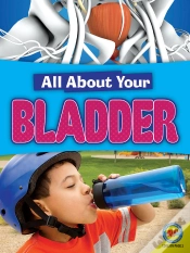 Capa do artigo Bladder