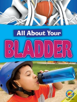 Capa do artigo Bladder