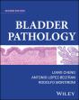 Bladder Pathology - Preview