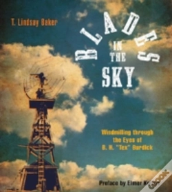 Capa do artigo Blades In The Sky