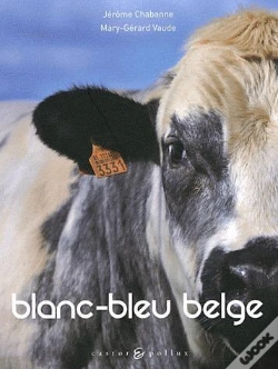 Capa do artigo Blanc-Bleu Belge