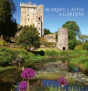 Blarney Castle & Gardens - Preview