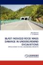 Blast Induced Rock Mass Damage In Underground Excavations - Preview