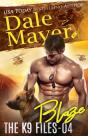 Blaze - Preview