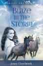 Blaze In The Storm - Preview