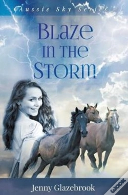 Capa do artigo Blaze In The Storm
