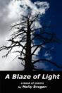 Blaze Of Light - Preview