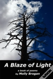 Capa do artigo Blaze Of Light
