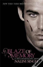 Capa do artigo Blaze Of Memory