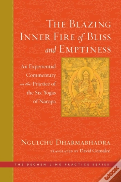 Capa do artigo Blazing Inner Fire Of Bliss And Emptiness