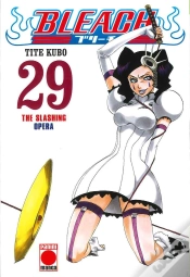 Capa do artigo Bleach 29
