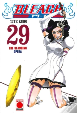 Capa do artigo Bleach 29