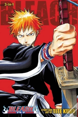 Capa do artigo Bleach (3-In-1 Edition), Vol. 1