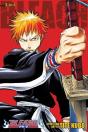 Bleach (3-In-1 Edition), Vol. 1 - Preview