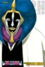 Bleach (3-In-1 Edition), Vol. 12 - Preview