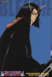Capa do artigo Bleach (3-In-1 Edition), Vol. 13