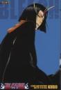 Bleach (3-In-1 Edition), Vol. 13 - Preview