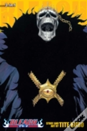 Capa do artigo Bleach (3-In-1 Edition), Vol. 15