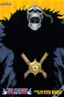 Capa do artigo Bleach (3-In-1 Edition), Vol. 15