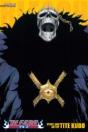 Bleach (3-In-1 Edition), Vol. 15 - Preview