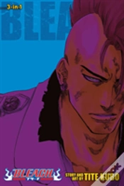 Capa do artigo Bleach (3-In-1 Edition), Vol. 23