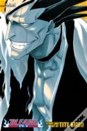 Capa do artigo Bleach (3-In-1 Edition), Vol. 5