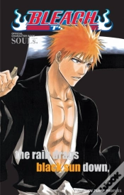 Capa do artigo Bleach Souls. Official Character Book