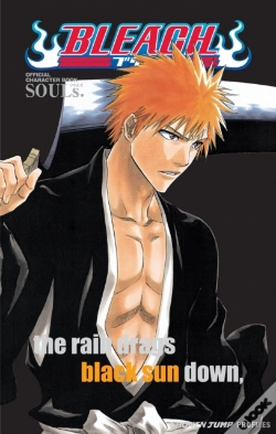 Capa do artigo Bleach Souls. Official Character Book