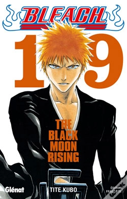 Capa do artigo Bleach T.19 ; The Black Moon Rising