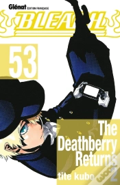 Capa do artigo Bleach T53