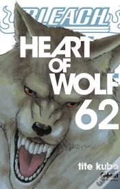 Capa do artigo Bleach T.62