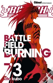 Capa do artigo Bleach - Tome 73