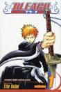 Bleach, Vol. 1 - Preview